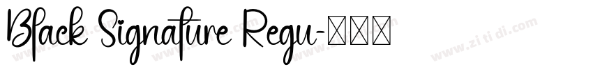 Black Signature Regu字体转换